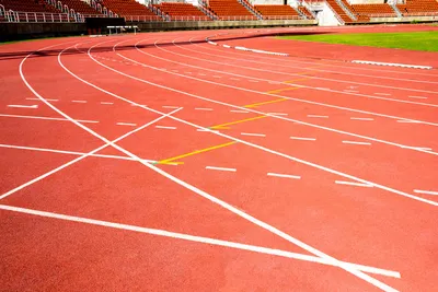 Sports Ground Marking